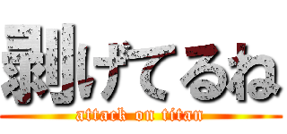 剥げてるね (attack on titan)