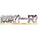 奴家长孙一只喵 (Zettairyoiki)