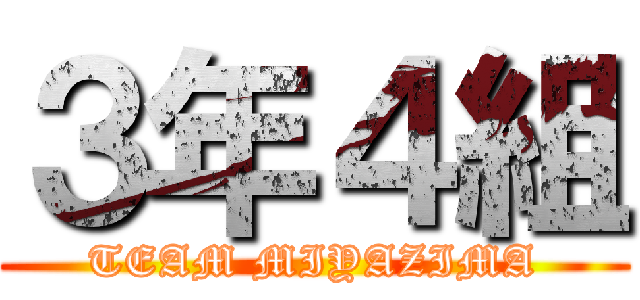 ３年４組 (TEAM MIYAZIMA)