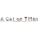 Ａ Ｃａｔ ｏｎ Ｔｉｔａｎ (JAL Pals)