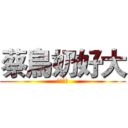 蔡鳥奶好大 (菜鳥的奶)