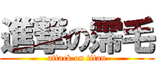 進撃の霈毛 (attack on titan)