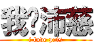 我♥沛慈 (i love pets)