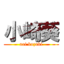 小崎葵 (aoi kozaki)