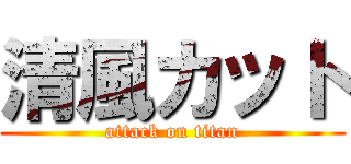 清風カット (attack on titan)