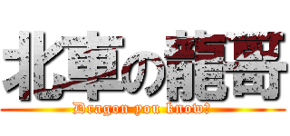 北車の龍哥 (Dragon you know?)