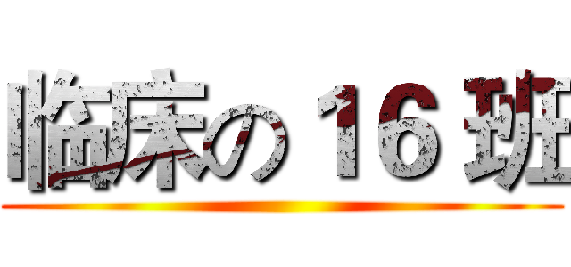 临床の１６ 班 ()