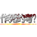 作死的考试 (作死的考试)