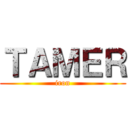 ＴＡＭＥＲ (iron)
