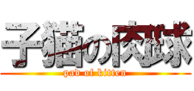子猫の肉球 (pad of kitten)