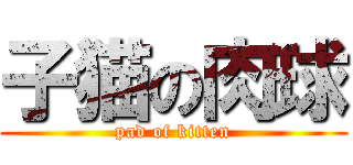 子猫の肉球 (pad of kitten)
