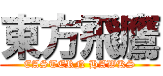 東方飛鷹 (EASTERN HAWKS)