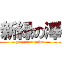 新緑の澤 (green on sawa)