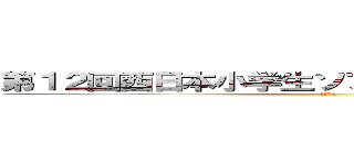 第１２回西日本小学生ソフトテニス選手権大会 (in熊本)