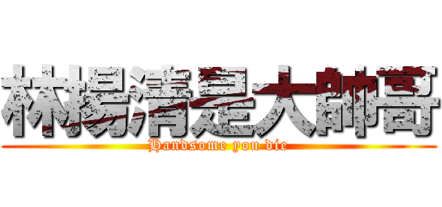 林揚清是大帥哥 (Handsome you die)