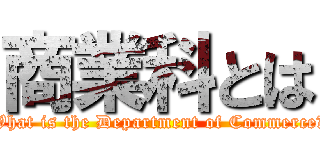商業科とは (What is the Department of Commerce?)