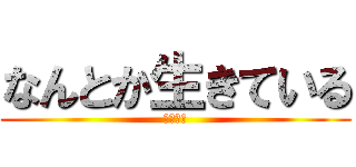 なんとか生きている (生存報告)