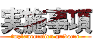 実施事項 (implementation guidance)