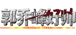 郭乔峰好帅 (attack on titan)