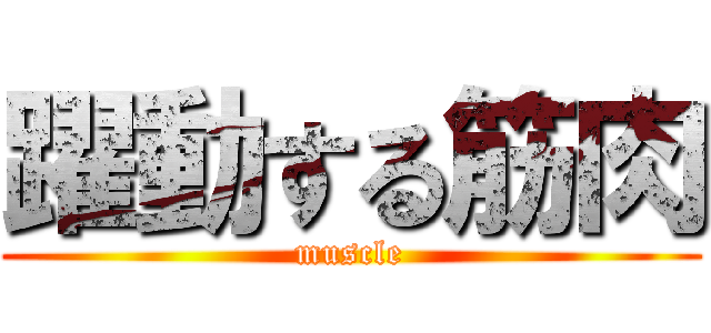 躍動する筋肉 (muscle)