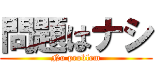 問題はナシ (No problem)