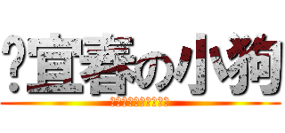 张宜春の小狗 (あなたは私のものです)