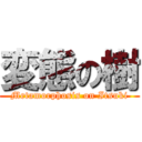 変態の樹 (Metamorphosis on Itsuki)