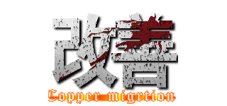 改善 (Copper migrtion)