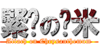 緊雞の鎘米 (Attach on Chrysanthemum)