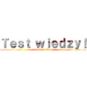 Ｔｅｓｔ ｗｉｅｄｚｙ！ (Attack On Titan)