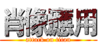 肖像應用 (attack on titan)