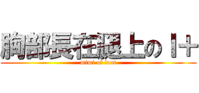 胸部長在腿上のＩ＋ (mimi of foot)