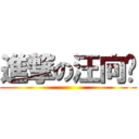 進撃の汪向阳 ()