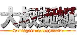 大叔蜒蜒 (Scutigera coleoptrata)