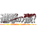 進撃の張芮 (Rui is a fool )