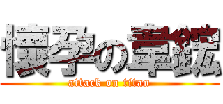 懷孕の韋鋐 (attack on titan)