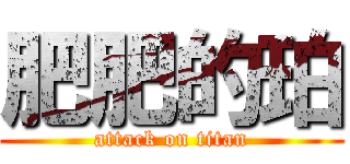 肥肥的珀 (attack on titan)