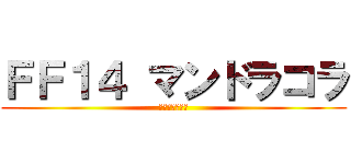 ＦＦ１４ マンドラコラ (プレイするｵｰ)