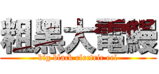 粗黑大電鰻 (big black electric eel)
