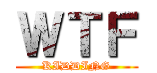 ＷＴＦ (KIDDING)