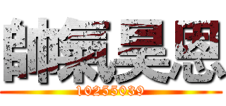 帥氣昊恩 (10255039)
