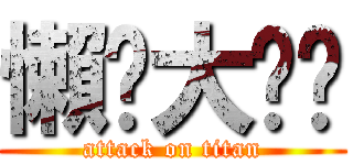 懶貓大屌貓 (attack on titan)