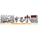 撤退する小鹿 (Retreating Fawn)