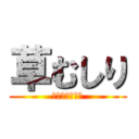 草むしり (お見積もり無料)