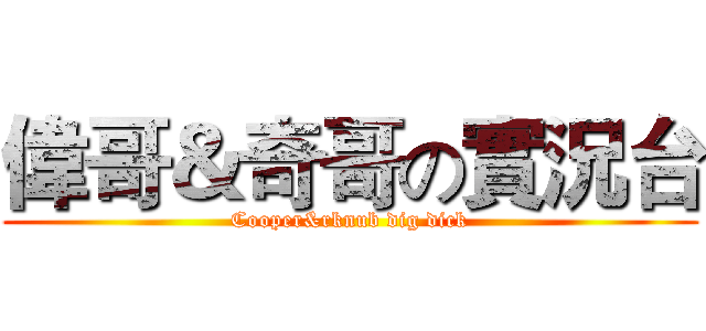 偉哥＆奇哥の實況台 (Cooper&rknub dig dick)