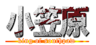 小笠原 (king of southpaw)