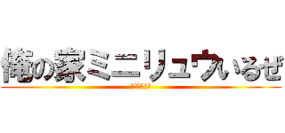 俺の家ミニリュウいるぜ (だから来いよ)