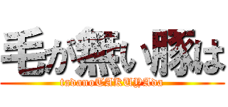 毛が無い豚は (tadanoTAKUYAda)