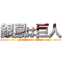 銀鼠は巨人 (ginnezu is titan)