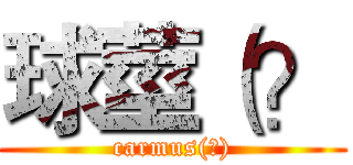 球莖（？ (carmus(?))